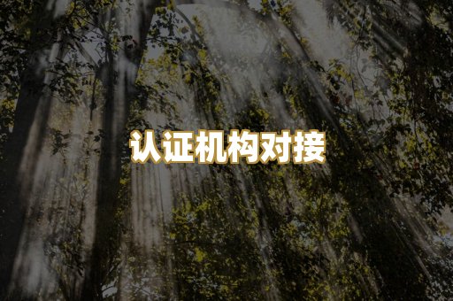 认证机构对接