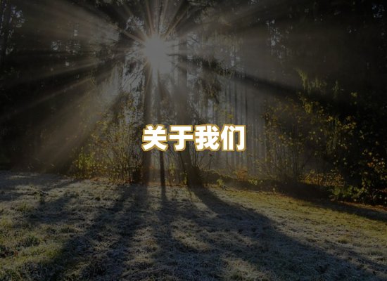 关于我们